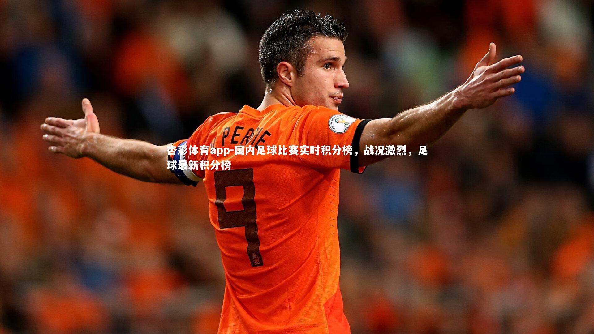 国内足球比赛实时积分榜，战况激烈，足球最新积分榜