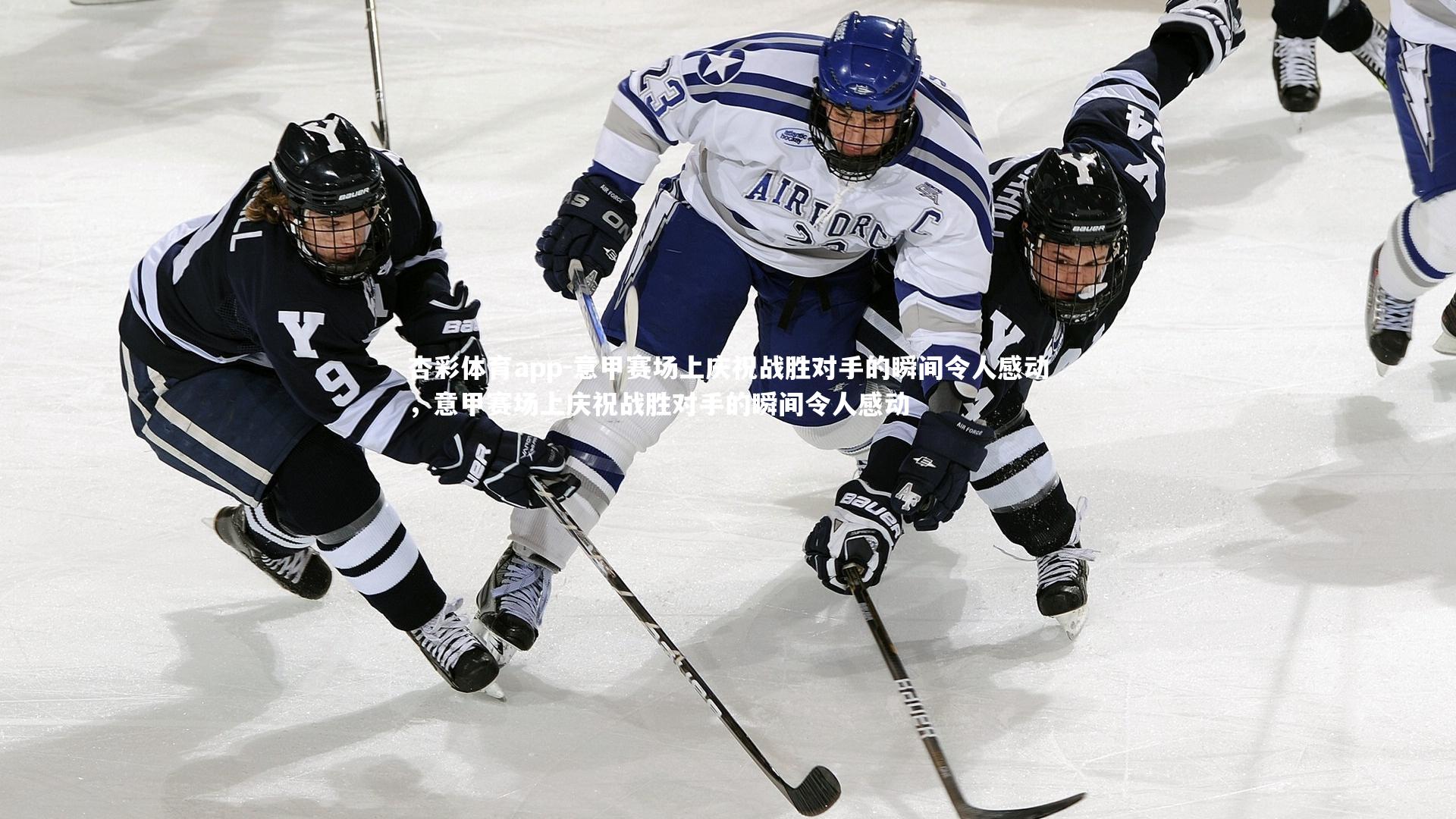 意甲赛场上庆祝战胜对手的瞬间令人感动，意甲赛场上庆祝战胜对手的瞬间令人感动