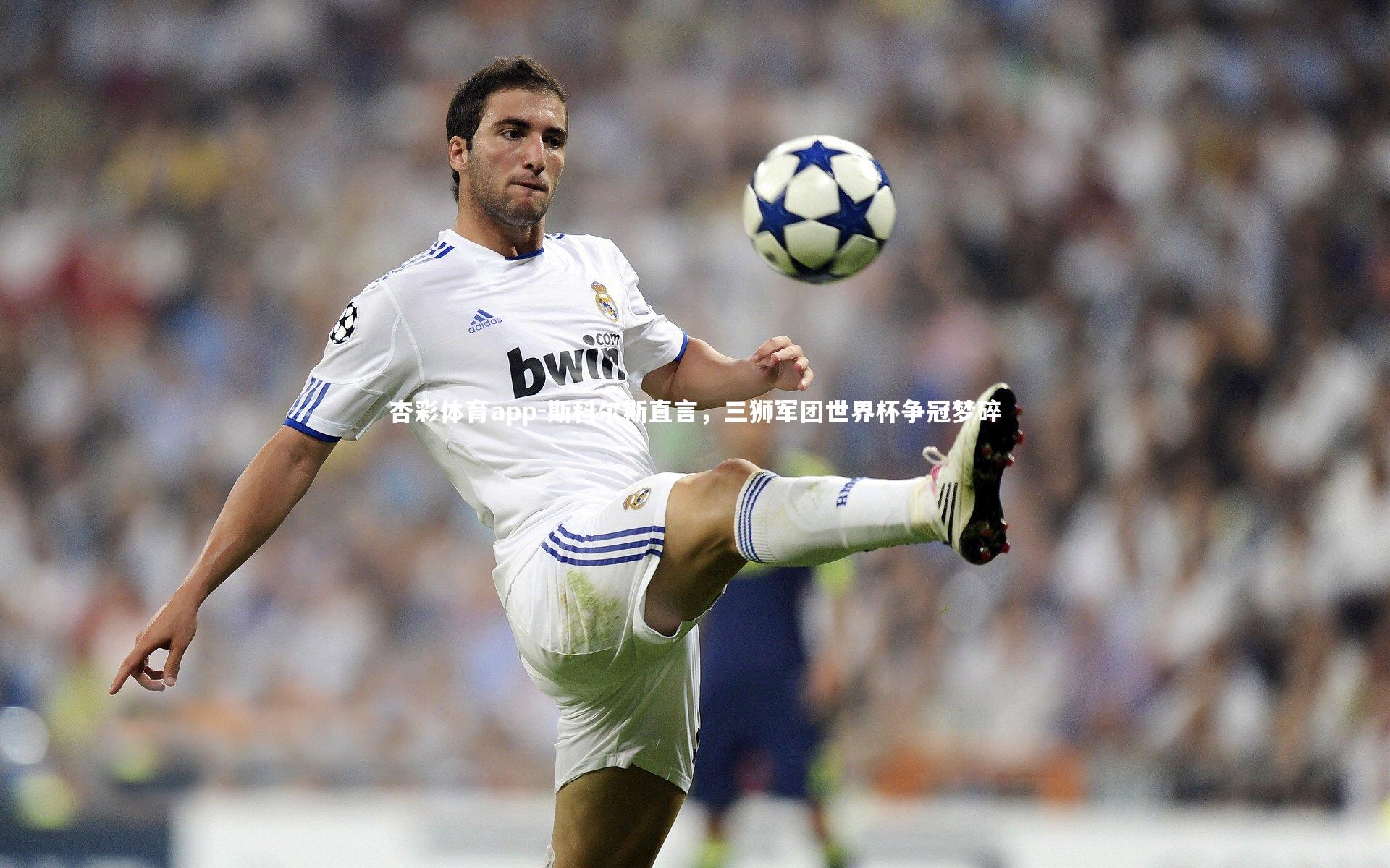 斯科尔斯直言,三狮军团世界杯争冠梦碎