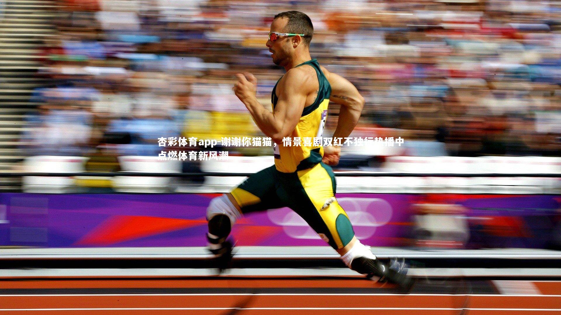 谢谢你猫猫，情景喜剧双红不独行热播中点燃体育新风潮