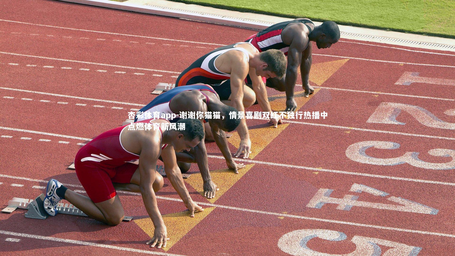 谢谢你猫猫，情景喜剧双红不独行热播中点燃体育新风潮